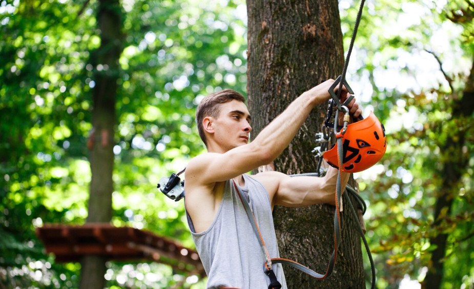 Tree crew trimming a mature tree beside a historic home